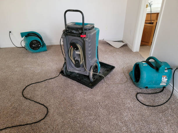 Best Basement water damage restoration  in Iona, ID