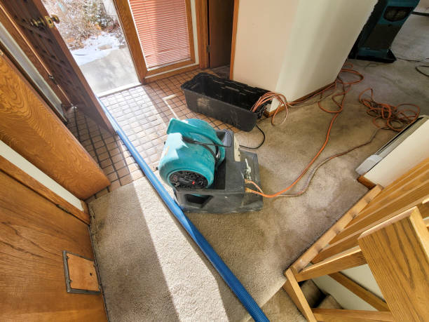 Best Water damage contractors near me  in Iona, ID