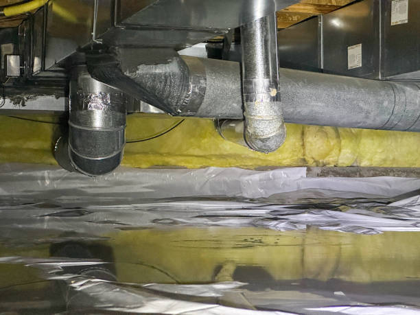 Best Water damage restoration near me  in Iona, ID