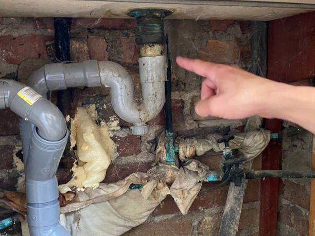 Best Water damage contractors near me  in Iona, ID